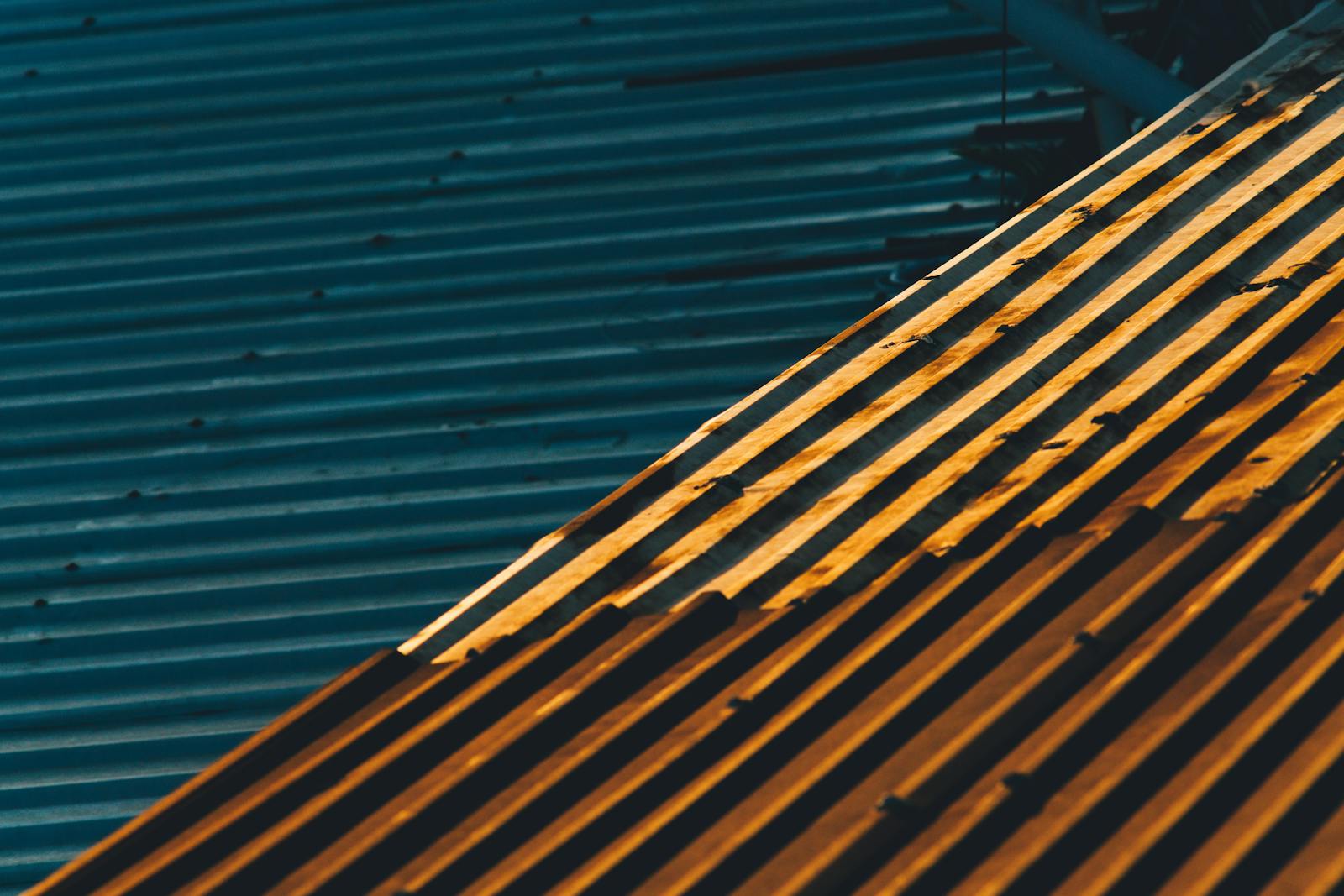Architectural sheet metal in golden-hour light